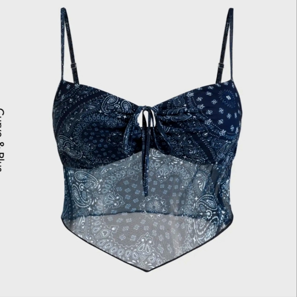NWT Cider Blue Mesh Crop Top Sz 2X